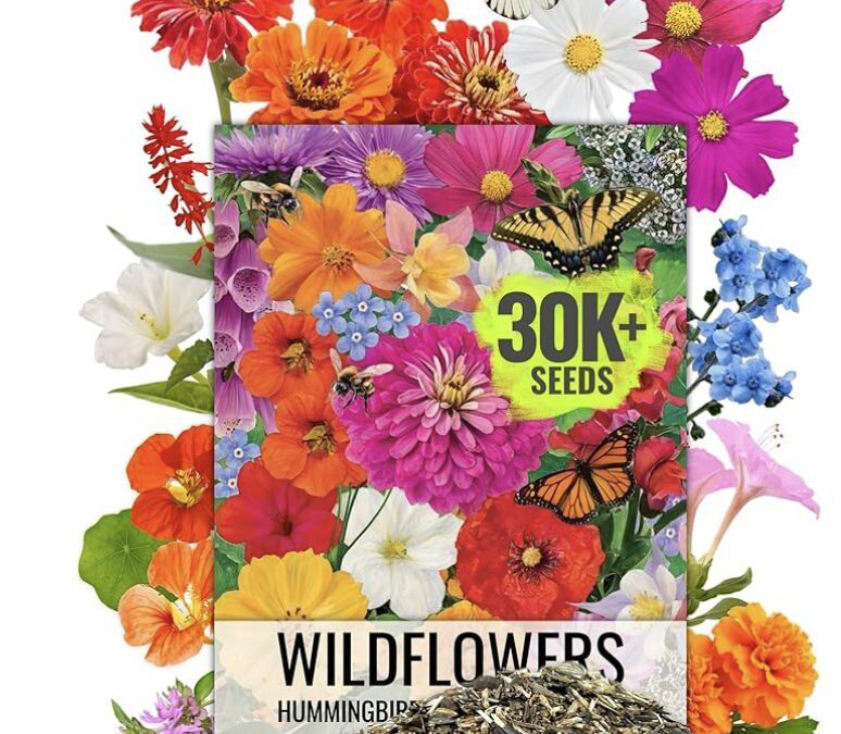 30,000 Wildflower Seeds for Butterflies and Hummingbirds – Just $5.99